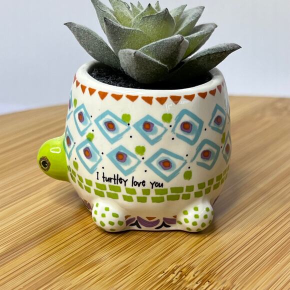 Natural life Blue Green Cutest Little Turtle Mini Faux Succulent Decor - Picture 4 of 8